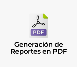 PDF generation of executions